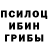 Галлюциногенные грибы мухоморы Aleksei Biziaev