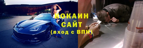 mix Богородицк