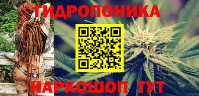 ECSTASY Гатчина