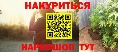 ECSTASY Гатчина