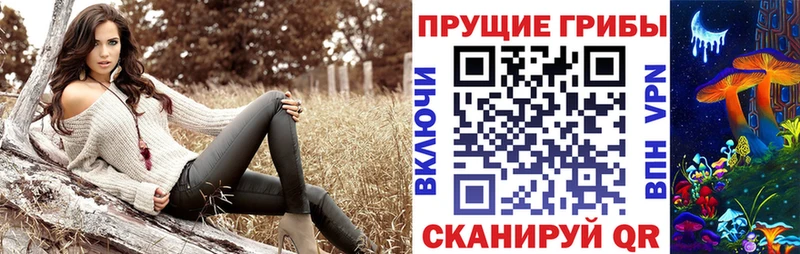 Галлюциногенные грибы Cubensis Зеленогорск