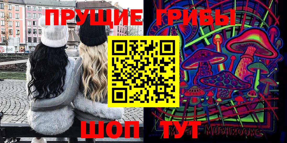 Зеленогорск  Галлюциногенные грибы Psilocybe  Вход с VPN 