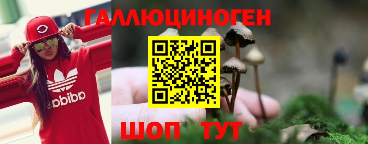Псилоцибиновые грибы мухоморы Зеленогорск